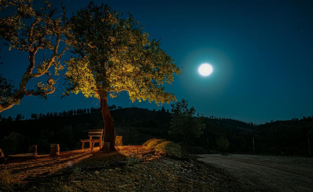 Vila Monte Corgo Da Vaca Sabóia Exteriér fotografie