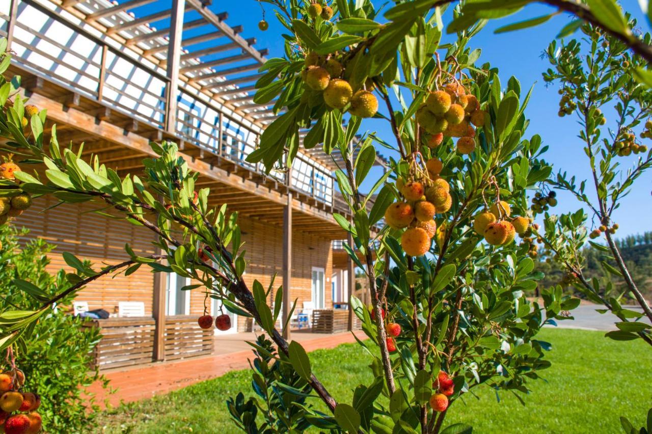 Vila Monte Corgo Da Vaca Sabóia Exteriér fotografie