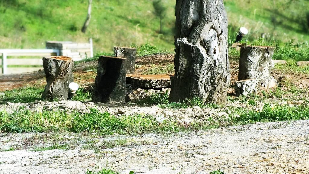 Vila Monte Corgo Da Vaca Sabóia Exteriér fotografie