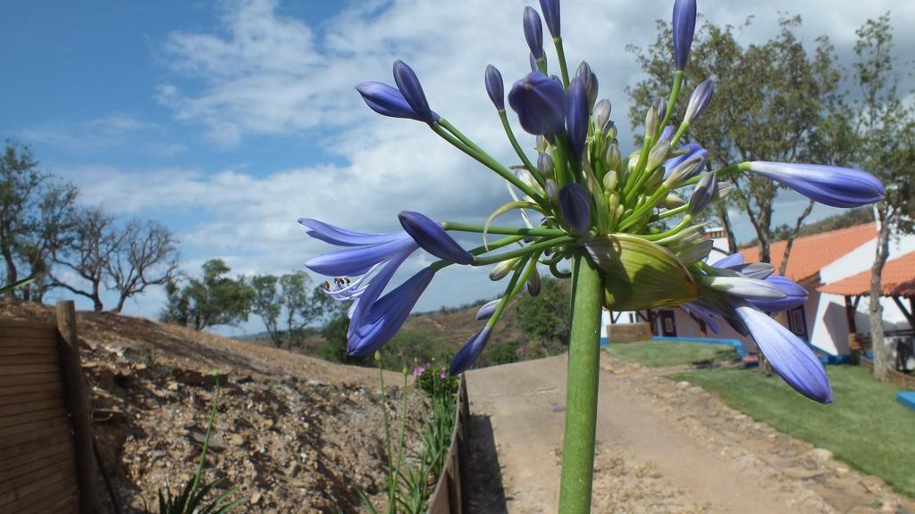 Vila Monte Corgo Da Vaca Sabóia Exteriér fotografie